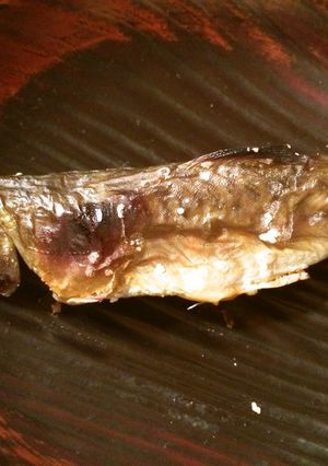 魚焼きグリルde岩魚（イワナ）の塩焼き-レシピのメイン写真