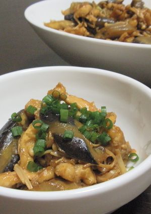 茄子と豚細切り肉の甜麺醤炒め-レシピのメイン写真