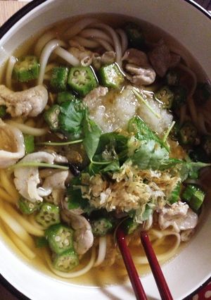 大根おろしであっさり肉うどん-レシピのメイン写真