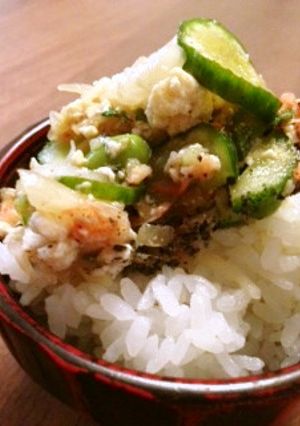 野菜たっぷり！さっぱりスピノーザの冷汁！-レシピのメイン写真