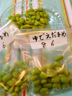 枝豆を使い切り♪-レシピのメイン写真