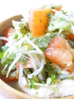 おろしきゅうりdeささみのサラダ-レシピのメイン写真