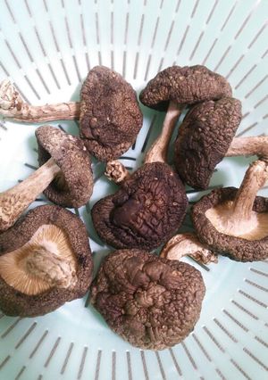 薫り良し!!干し椎茸の作り方-レシピのメイン写真