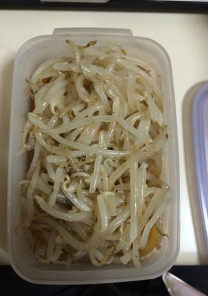 モヤシのナムル-レシピのメイン写真