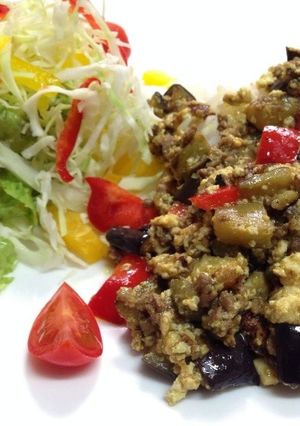 シェフ直伝！豆腐とミンチとナスのカレー-レシピのメイン写真