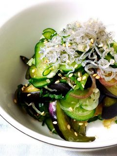 暑い日においしい♡茄子と茗荷のサラダ♩-レシピのメイン写真