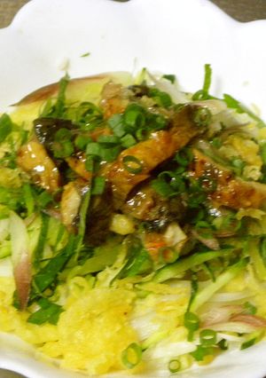 野菜たっぷり♡スタミナ冷麺☆-レシピのメイン写真