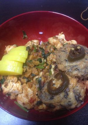 暑い夏に！ガッツリ丼！-レシピのメイン写真