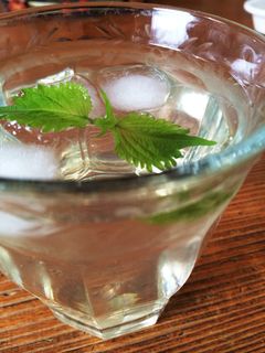 ☆青じそジュース&しその佃煮☆-レシピのメイン写真