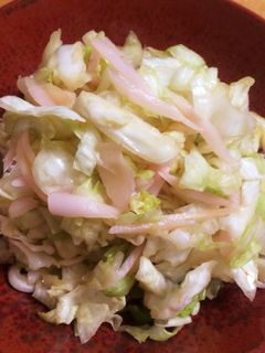 ビールのつまみに☆キャベツと生姜の浅漬け-レシピのメイン写真