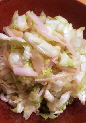 ビールのつまみに☆キャベツと生姜の浅漬け-レシピのメイン写真