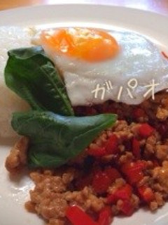 おうちで簡単タイ料理ランチ!ガパオライス-レシピのメイン写真