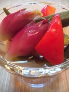 簡単!夏野菜のピクルス☆-レシピのメイン写真
