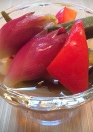 簡単！夏野菜のピクルス☆-レシピのメイン写真