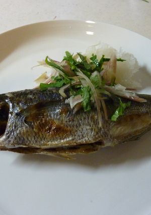 鮪（タカベ）の塩焼き-レシピのメイン写真