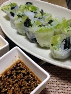 豆苗の生春巻き-レシピのメイン写真