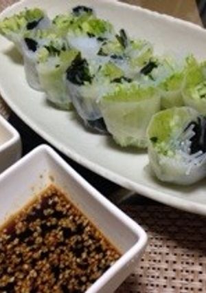 豆苗の生春巻き-レシピのメイン写真