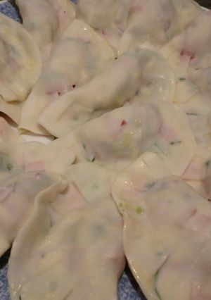 トマトとアボガドの餃子　～イタリアン風～-レシピのメイン写真