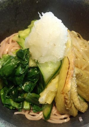飽きない美味しさ☆ぶっかけ・清涼うどん-レシピのメイン写真