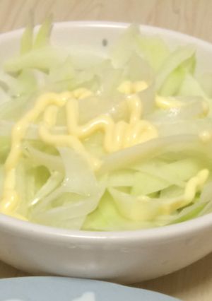 めんどくさがりのパパイヤサラダ-レシピのメイン写真