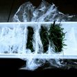味噌汁等に便利な常備野菜の保存方法