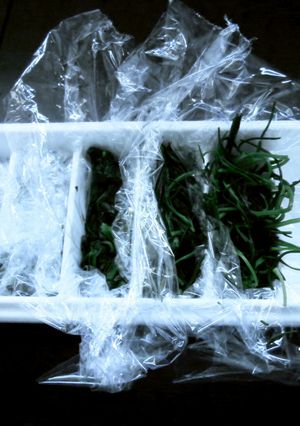 味噌汁等に便利な常備野菜の保存方法-レシピのメイン写真