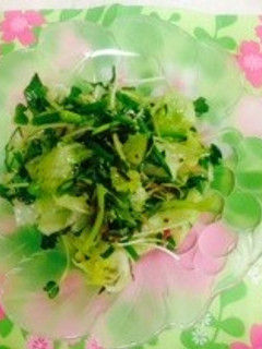 塩こんぶでみょうがのさっぱりサラダ-レシピのメイン写真
