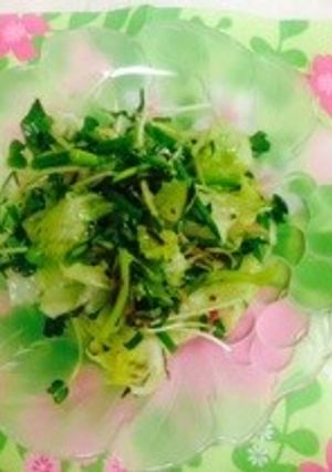 塩こんぶでみょうがのさっぱりサラダ-レシピのメイン写真