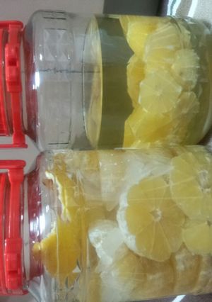 ホームメイド果実酒:河内晩柑-レシピのメイン写真