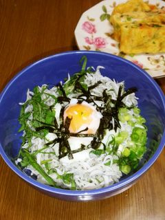 私の大好きなしらす丼(*^^*)-レシピのメイン写真