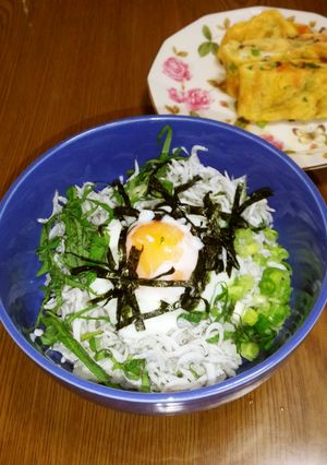 私の大好きなしらす丼(*^^*)-レシピのメイン写真