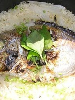 かんたん鯛飯-レシピのメイン写真