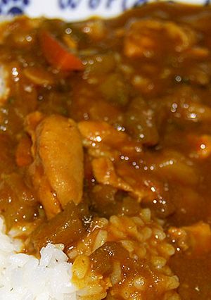 近江黒鶏とゴーヤのカレー-レシピのメイン写真