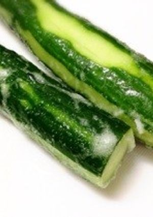 バリバリいける！塩もみきゅうり-レシピのメイン写真