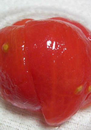 農家直伝♪おいしいトマトの食べ方-レシピのメイン写真