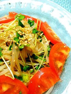 もやしとカイワレのナンプラーナムル!-レシピのメイン写真