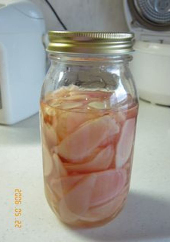 新しょうがの甘酢漬け-レシピのメイン写真