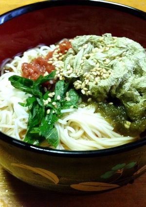 梅しそぶっかけそうめん-レシピのメイン写真