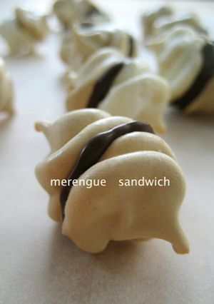 メレンゲの口溶けチョコサンド-レシピのメイン写真