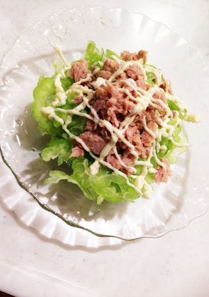 さっばりゴーヤサラダ〜ツナ、マヨ、醤油〜-レシピのメイン写真