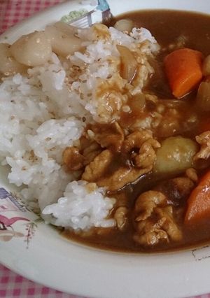 (･ω･｡)夏のカレー(,,･ω･,,)-レシピのメイン写真
