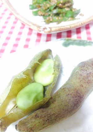 ノンフライヤーで☆そら豆-レシピのメイン写真