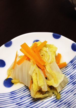 ほっとくだけで白菜の黒酢煮-レシピのメイン写真