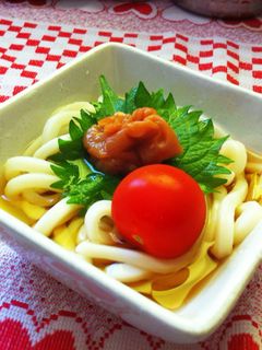 超ズボラな冷やしうどん☆-レシピのメイン写真