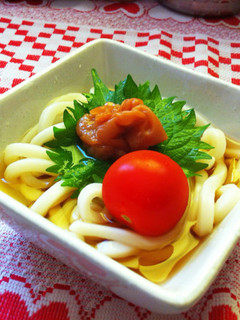 超ズボラな冷やしうどん☆-レシピのメイン写真