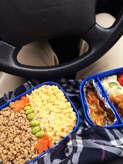 そぼろ弁当-レシピのメイン写真