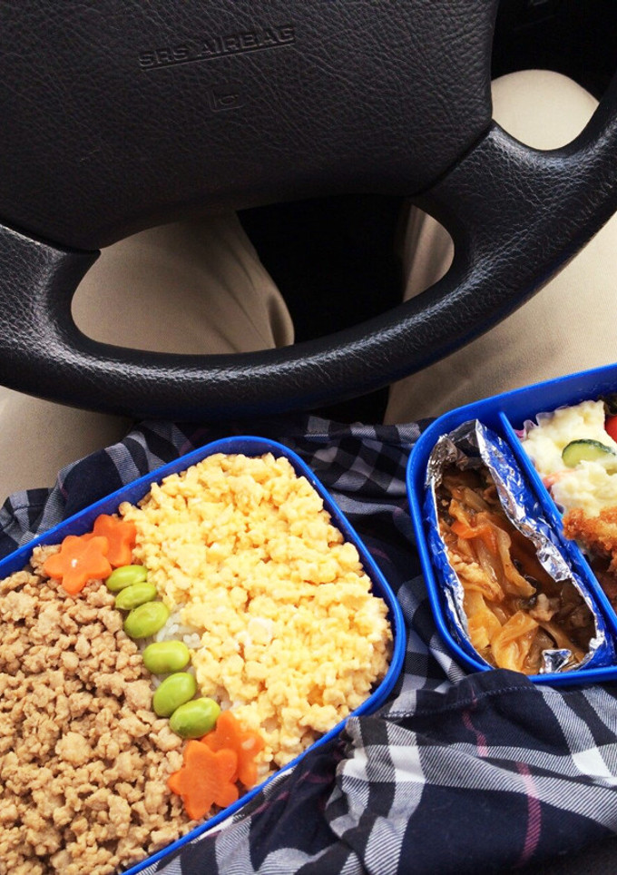 そぼろ弁当-レシピのメイン写真