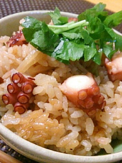 たこ飯♪柚胡椒のお茶漬けで食べてみて-レシピのメイン写真