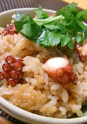 たこ飯♪柚胡椒のお茶漬けで食べてみて-レシピのメイン写真