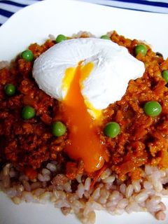 30分☆とろとろ茄子のキーマカレー!-レシピのメイン写真